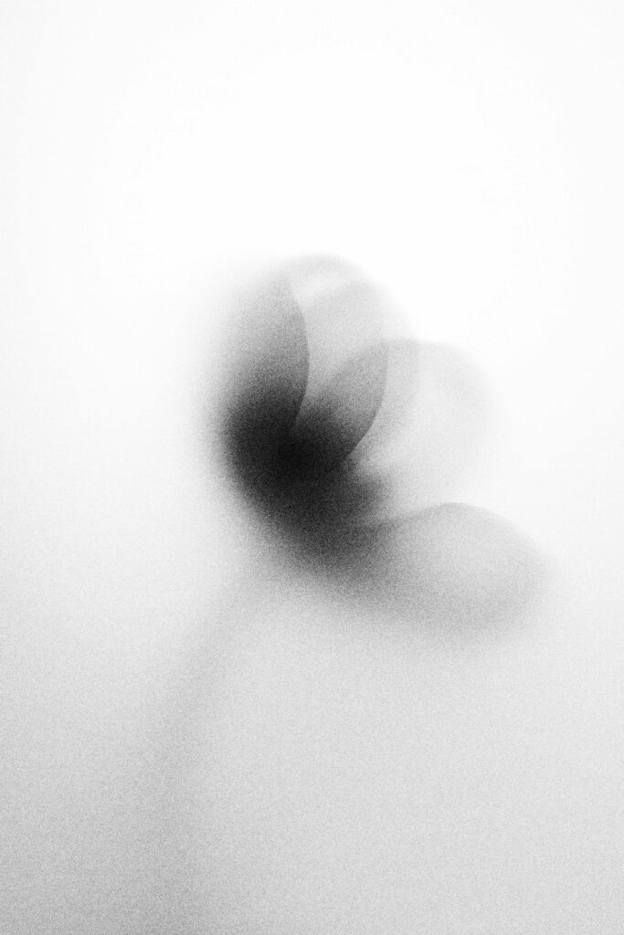 A creative black and white abstract of a floral shadow on a white backdrop.
